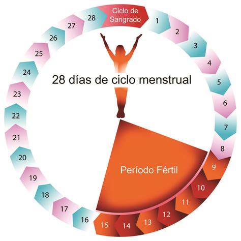 calcular periodo fertil